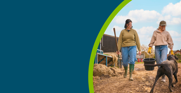 Two Female Farm Workers Walking Across Yard With Dog Past Cattle Barn At Feeding Time