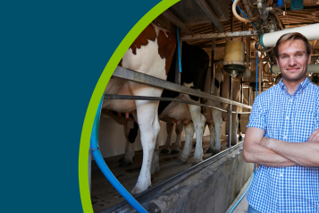 Farmer with cattle in milking shed