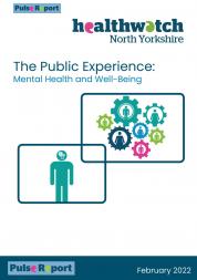 Mental health cover page report